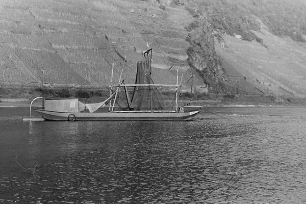 mosel100c9E25AFC5-E3D8-9FE4-A8BD-3380B5F8EAAD.jpg