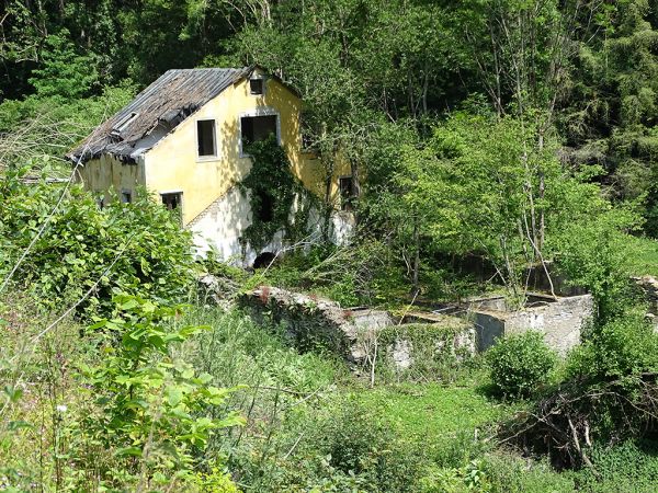 Villa Waldfrieden Bellthal