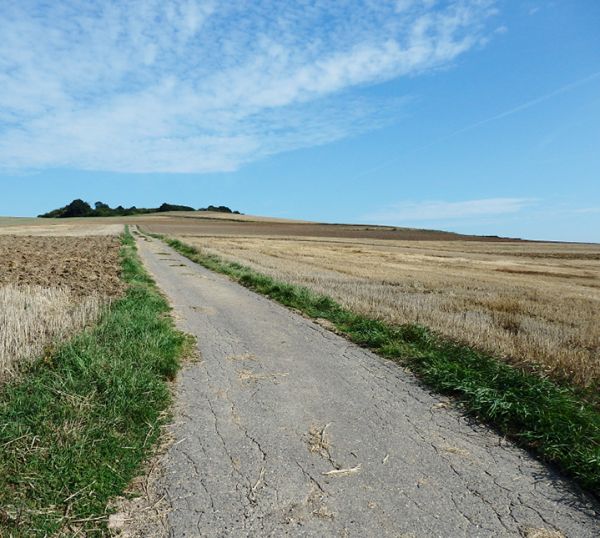 Höchster Berg von Kobern?