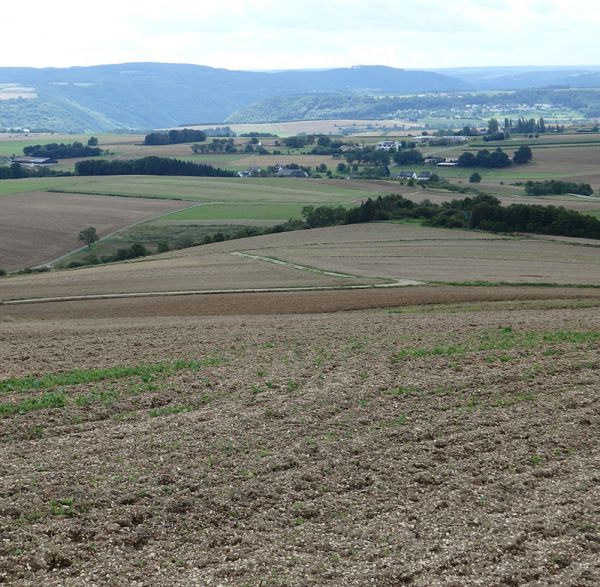 Höchster Berg von Kobern?
